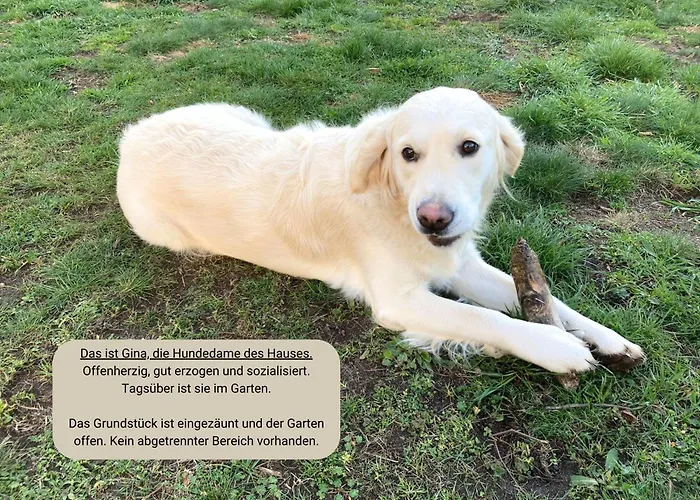 Апартаменты Landlust - Ideal Fuer Hundefreunde Und Monteure, Free Wlan & Parken, Smart-tv Uebigau