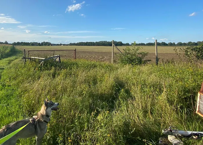 Апартаменты Landlust - Ideal Fuer Hundefreunde Und Monteure, Free Wlan & Parken, Smart-tv *